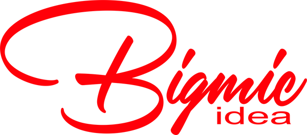 BIGMIC IDEA